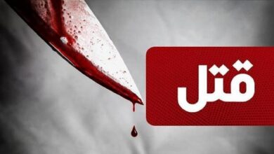 قتل یک زن 70 ساله با 36 ضربه چاقو در تهران