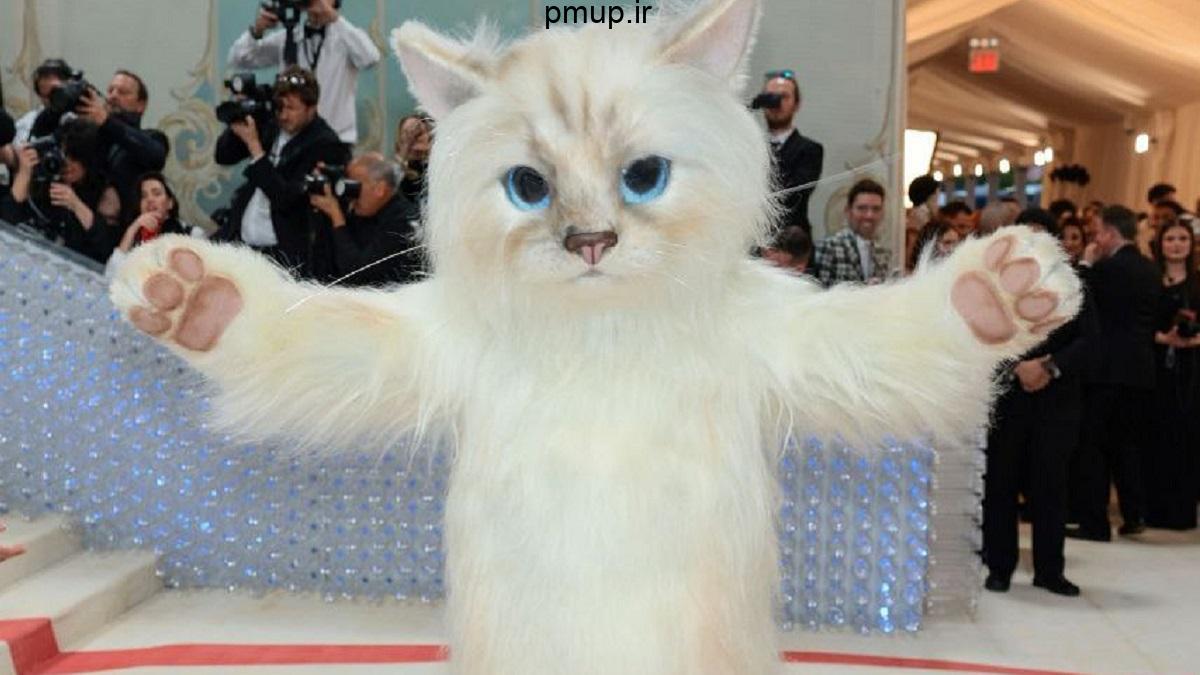 گربه شدن جرد لتو در مراسم مت گالا 2023 + [عکس و ویدیو]