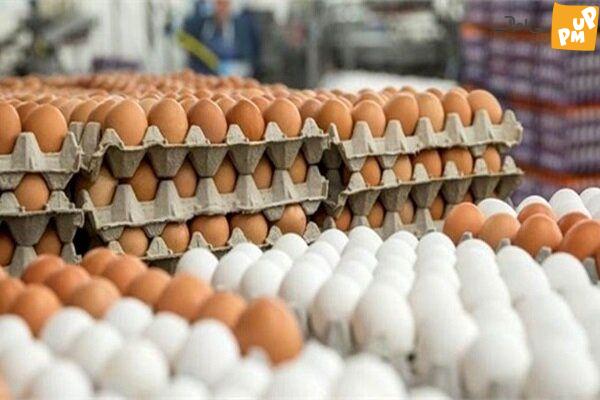 تخم مرغ ارزان شد!/ خبر خوش برای مصرف کنندگان
