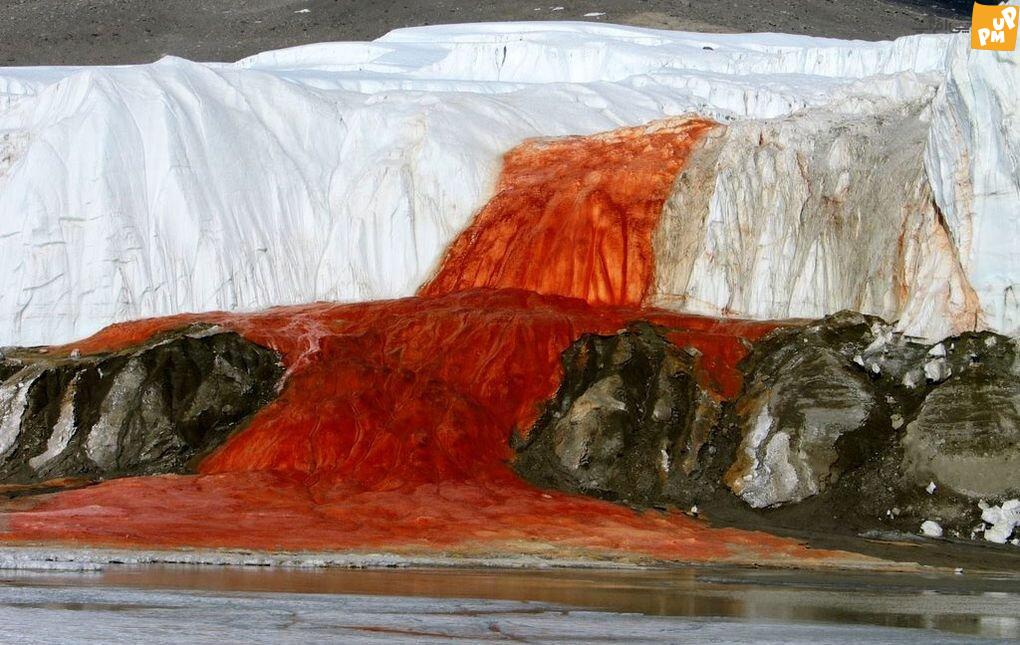 حل معمای آبشار خون پس از یک قرن / عکس