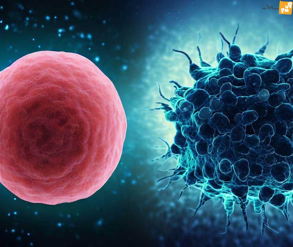 فریب سلول‌های سرطانی به کمک یک روش درمانی! / مژده برای افراد مبتلا به سرطان!