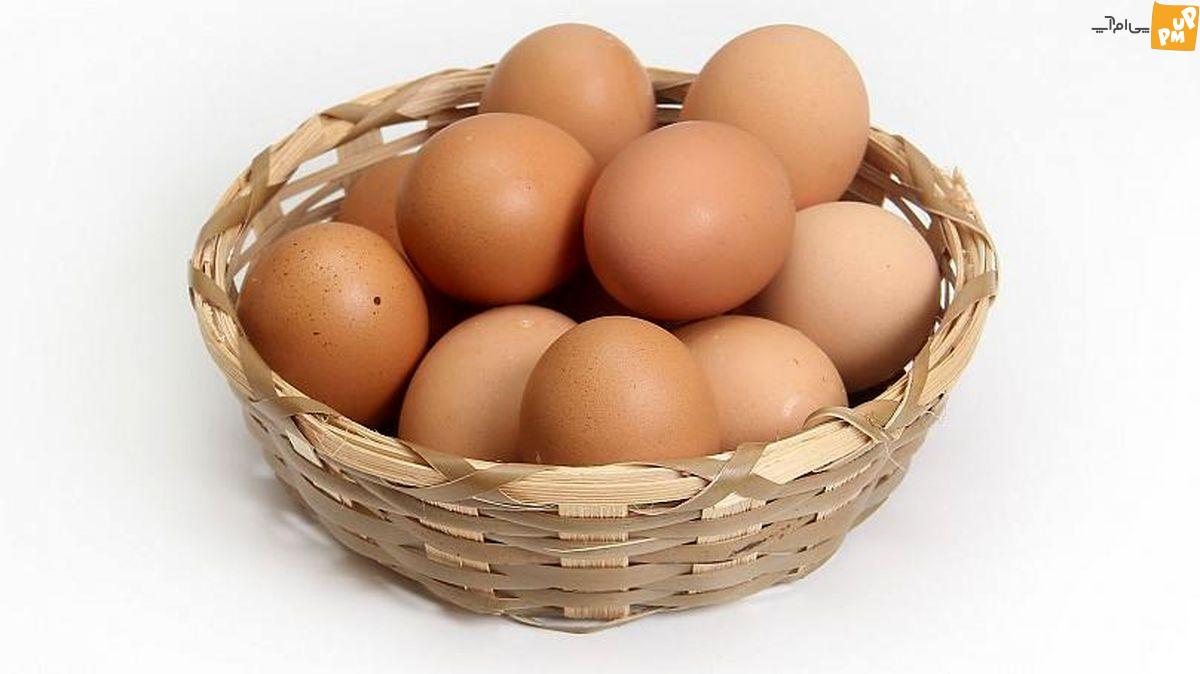 آیا تخم‌مرغ گران شده یا این قیمت، نرخ مصوب است؟/ جزئیات خبر