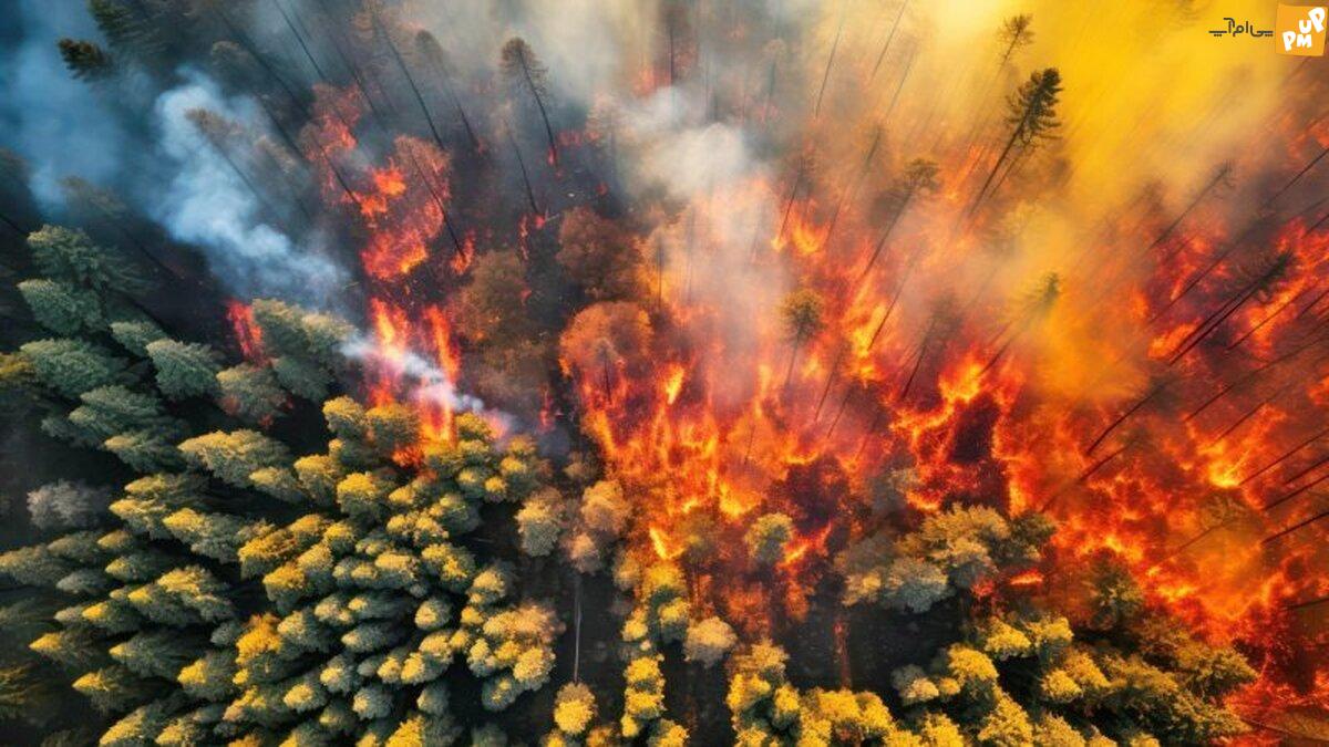 آرژانتین و آتش سوزی بسیار مهیب جنگل!/جزئیات