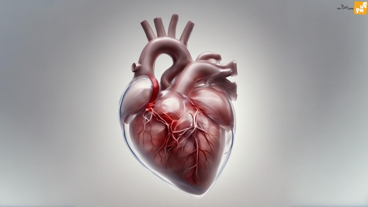 علائم آسیب قلبی ناشی از فشار خون بالا چیست؟/ویدئو
