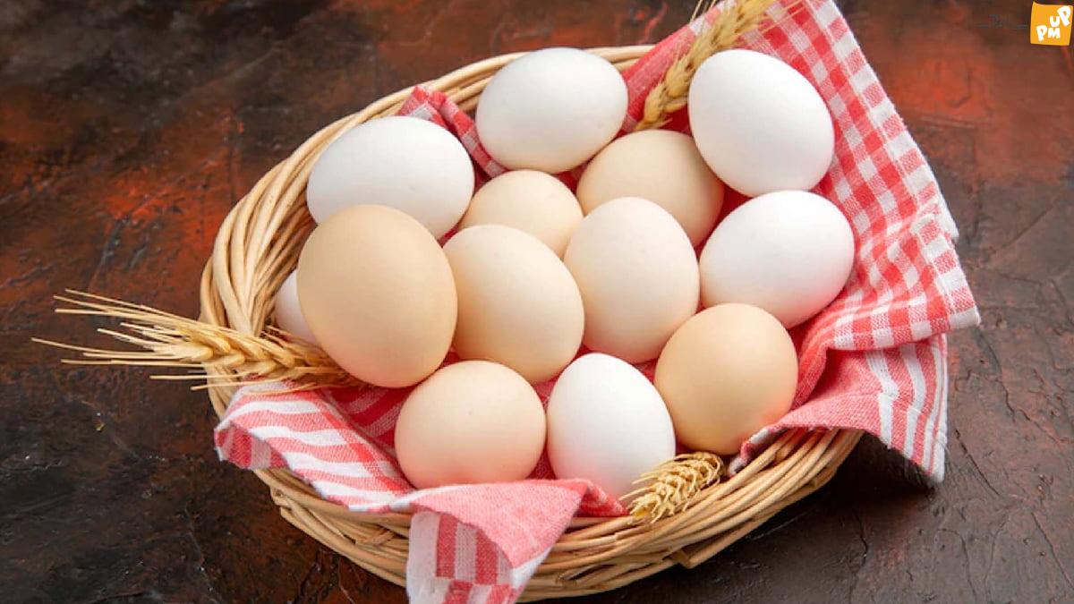 حقایقی درباره تخم مرغ که از آن بی خبرید/ در هفته چند عدد تخم مرغ نیاز بدن را رفع می کند؟