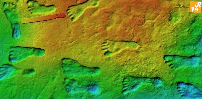 قدیمی ترین رد پای انسان در آمریکا/ اولین انسان کی به قاره جدید رسید؟/ عکس
