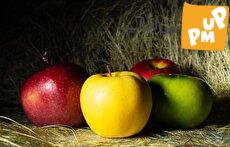 چرا سیب برای کاهش وزن بسیار مفید است؟