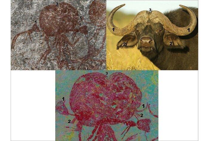 راز نقاشی های خزنده کشف شده در آفریقا / عکس