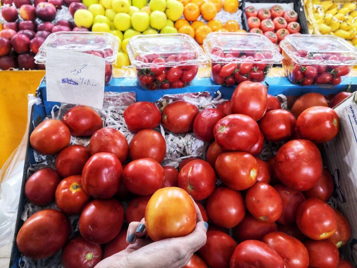 بالا رفتن قیمت گوجه فرنگی از دلار!