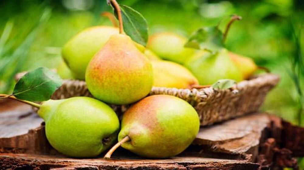 برای رفع یبوست این میوه ها را بخورید / معرفی 5 میوه برای درمان یبوست