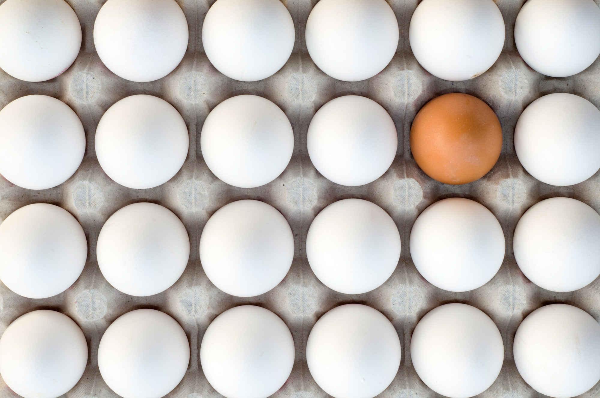 با این 4 روش ساده تخم مرغ سالم از تخم مرغ فاسد را تشخیص دهید!