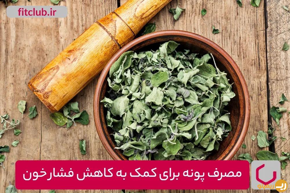 گیاهان دارویی موثر برای کاهش فشار خون