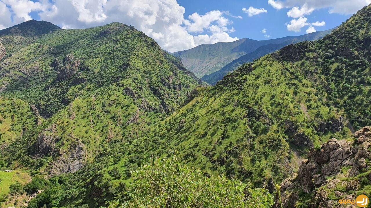 زاگرس ذخیره گاه طبیعی ایران است/ گواه فعالیت مافیای بلوط در کردستان