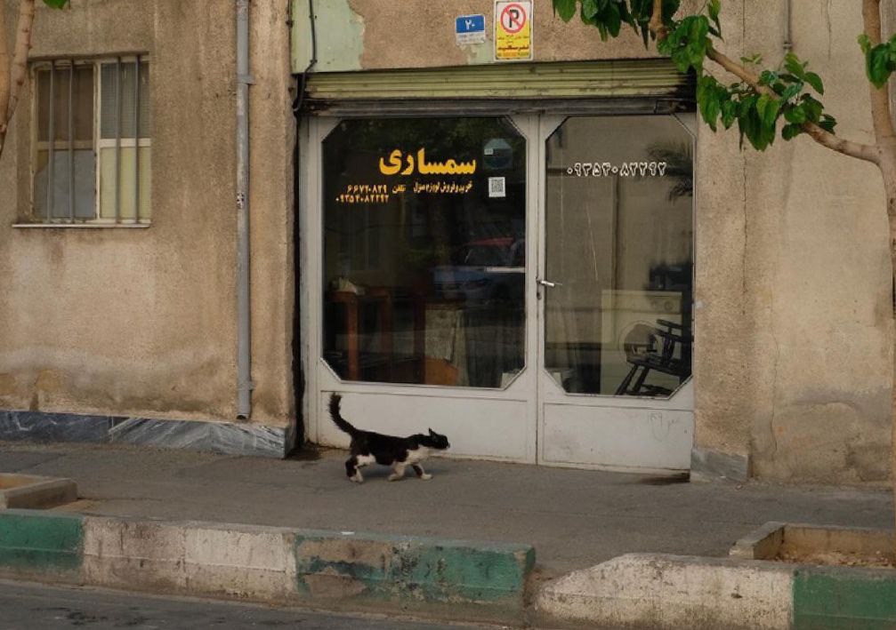 رازهای محله ای در تهران که مانند طلا می درخشد