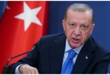 اردوغان: نتانیاهو قصاب غزه است
