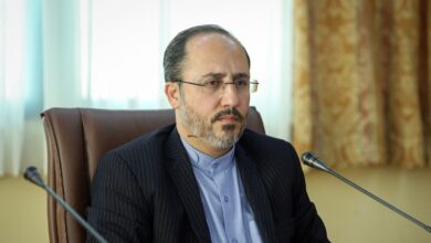 اظهارات رئیس شورای اطلاع رسانی دولت درباره فیلمسازی