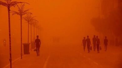بیش از 1000 نفر از خوزستانی ها امروز به دلیل گرد و غبار به بیمارستان ها مراجعه کردند