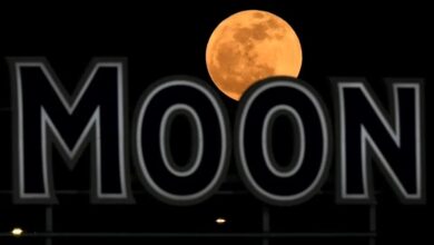 تصاویر خیره کننده از "ماه صورتی" در سراسر جهان