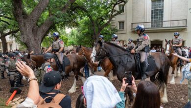 دستگیری بیش از 100 دانشجوی دانشگاه امرسون؛ حذف تصاویر حمله پلیس آمریکا به دانش آموزان