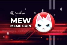 میم Coin Meow در یک روز 100% رشد کرد