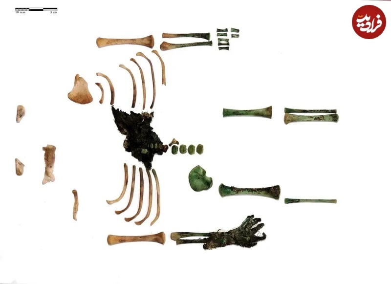 دست سبز در کوزه؛ کشف رازآمیز باستان‌شناسان در یک گورستان متروکه