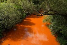 آب پرتقال سمی که در رودخانه ها جاری است چیست؟