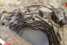 این «چاهِ چوبی» از سه هزار سال قبل سالم باقی مانده است (+عکس)
