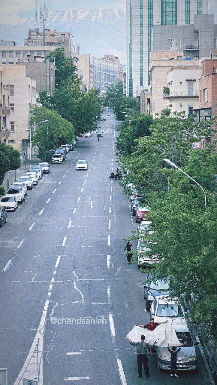 تصاویری جالب از چیدن توت از درخت‌های خیابان‌های تهران توسط مردم+ عکس
