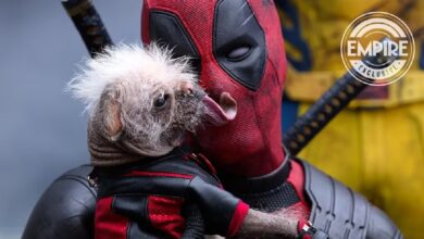 تصویر جدید از سگ ددپول در فیلم Deadpool & Wolverine منتشر شد