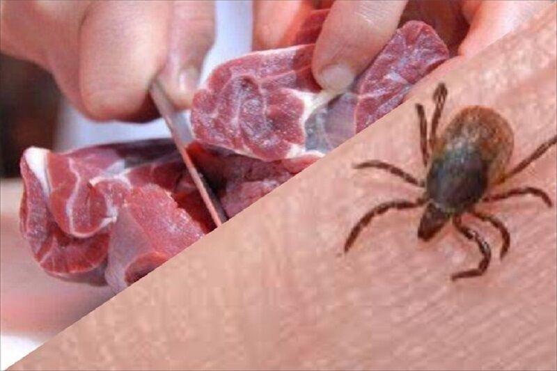 خوردن یا تماس با گوشت آلوده باعث ابتلای فرد به تب کریمه کنگو می شود