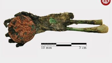 دست سبز در کوزه؛ کشف رازآمیز باستان‌شناسان در یک گورستان متروکه (+عکس)