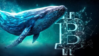 ancient bitcoin whales suddenly awake after 107 years with 492742 profit ramzarz min