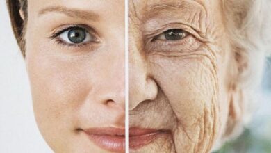 سلول های بدن شما حتی می توانند در یک روز پیر شوند!