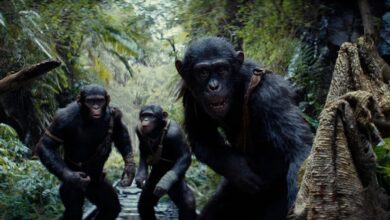 فیلم سیاره میمون‌ها توانست فروش فوق‌العاده‌ای کسب کند
