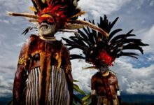 ژن انسان نما دنیسوا باعث شد که مردم بومی پاپوآ گینه نو در برابر مالاریا مصون باشند.