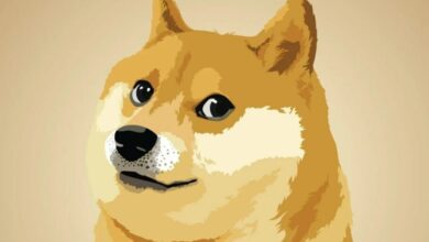 "کابوسو"، مرحوم؛ سگی که الهام بخش Dogecoin بود