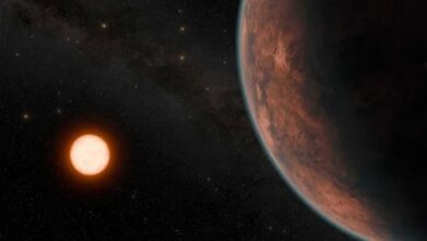 کشف سیاره جدیدی شبیه زمین در فاصله‌ای نزدیک به زمین!