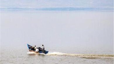 یک خبر خوش از دریاچه ارومیه