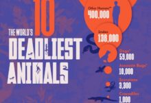 10 حیوان مرگباری که هر سال بیشترین افراد را می کشند (+ اینفوگرافی)