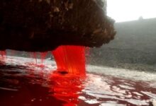 "آبشارهای خونین" قطب جنوب از کجا می آیند؟ (+عکس)