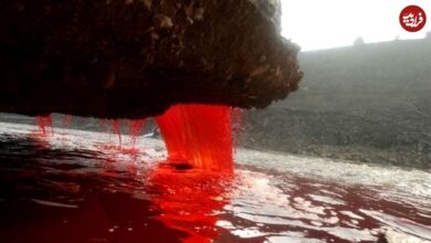 "آبشارهای خونین" قطب جنوب از کجا می آیند؟ (+عکس)