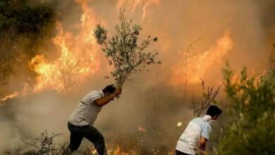 آتش سوزی گسترده جنگل های پولدختر را به خاکستر تبدیل کرد