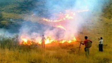 آخرین وضعیت آتش‌سوزی در مراتع بهبهان و پلدختر