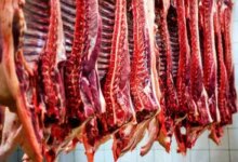 اعلام قیمت گوشت قرمز در آستانه عید سعید قربان