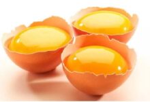 تولید تخم مرغ حاوی اسید فولیک و 95 درصد قابل جذب توسط بدن