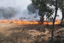 جنگل‌های پلدختر همچنان در آتش می‌سوزند