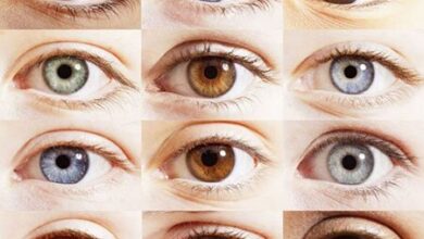 خطر عمل تغییر رنگ چشم برای افراد سالم/ تحت تاثیر فضای مجازی قرار نگیرید