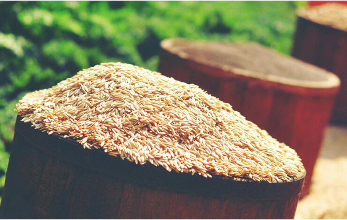 خواص شگفت انگیز سبوس برنج برای سلامتی