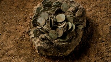 داستان کشف صدها سکه تاریخی در یک گودال