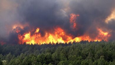 در روزهای آینده خطر آتش سوزی در جنگل ها و مراتع استان اصفهان وجود دارد